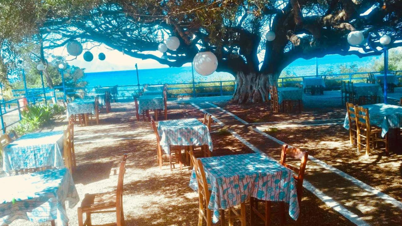 Camping Kato Alissos 외부 사진